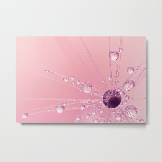 Dandy Starburst Metal Print