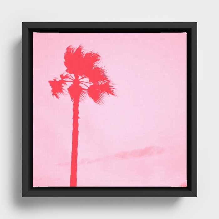 Palm tree Framed Canvas