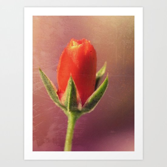 Florange Art Print