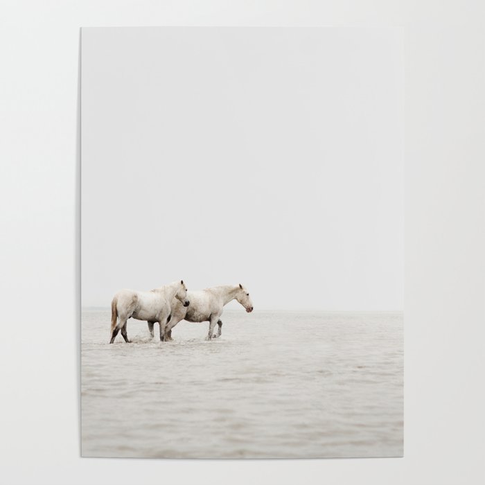 White Camargue Horses - Minimalist Nature Photography Poster