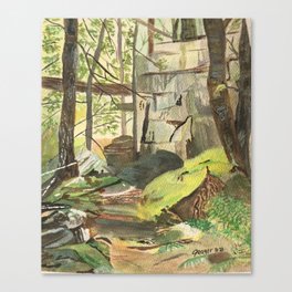 Woodland walk Canvas Print