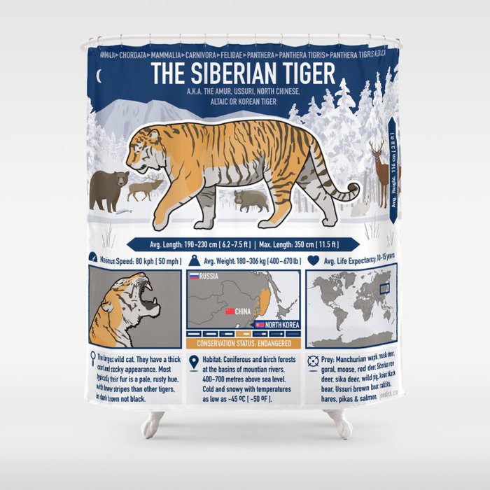 The Wild Ones Siberian Tiger Info Shower Curtain By Jonstick