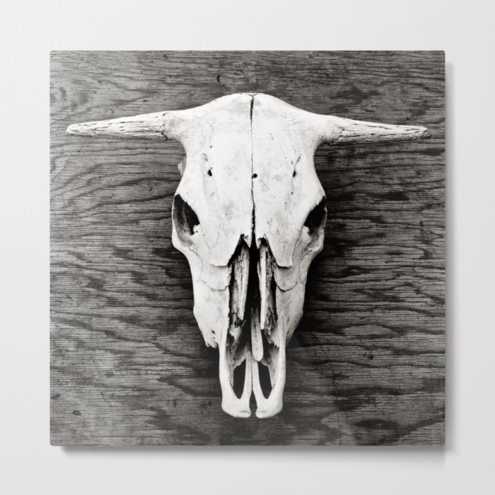 Cow Skull in Black and White Metal Print