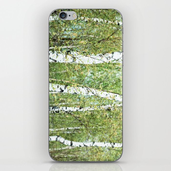 the birch forest III iPhone Skin