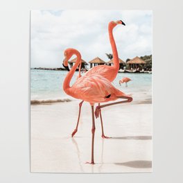 Pink Flamingos On Aruba Island Art Photo | Caribbean Beach Wall Print | Tropical Travel Photography Poster