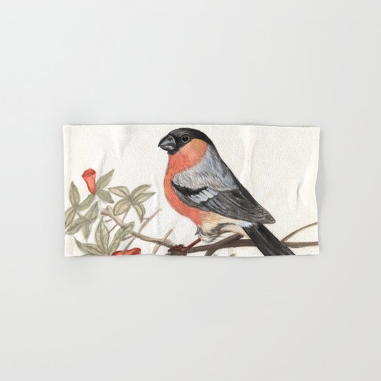 Eurasian bullfinch bird Hand & Bath Towel