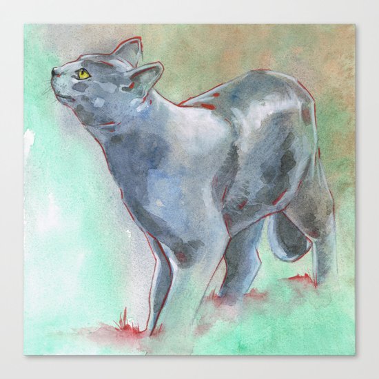 Gray Cat Canvas Print