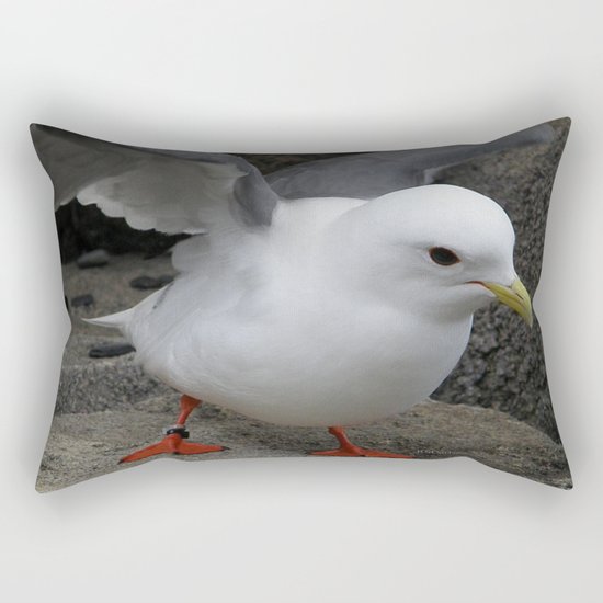 Red-Legged Kittiwake Rectangular Pillow