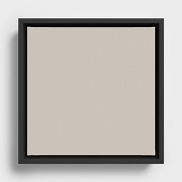 Doeskin Grey Framed Canvas