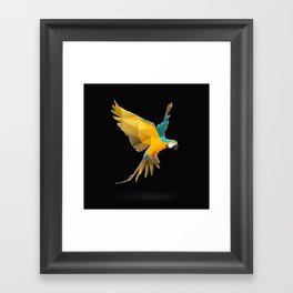 Macaw. Framed Art Print