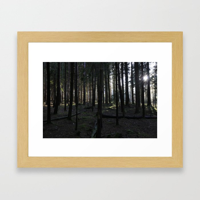 The Black Forest Framed Art Print