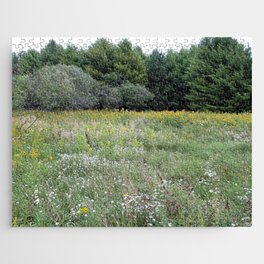 Beautiful View of a Meadow Jigsaw Puzzle