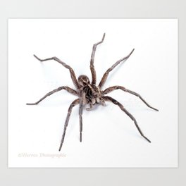 Creepy Spider Art Print | Graphicdesign, Hide, Fun, Scarry, Sneaky, Mom, Man, Gift, Wood, Crawl 