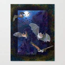 Western Bats Canvas Print