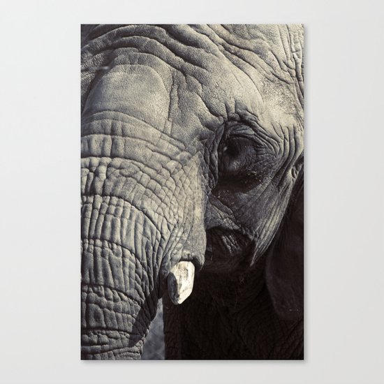 ELEPHANT OH MY! Canvas Print