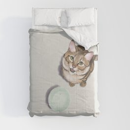 Hungry Cat Comforter