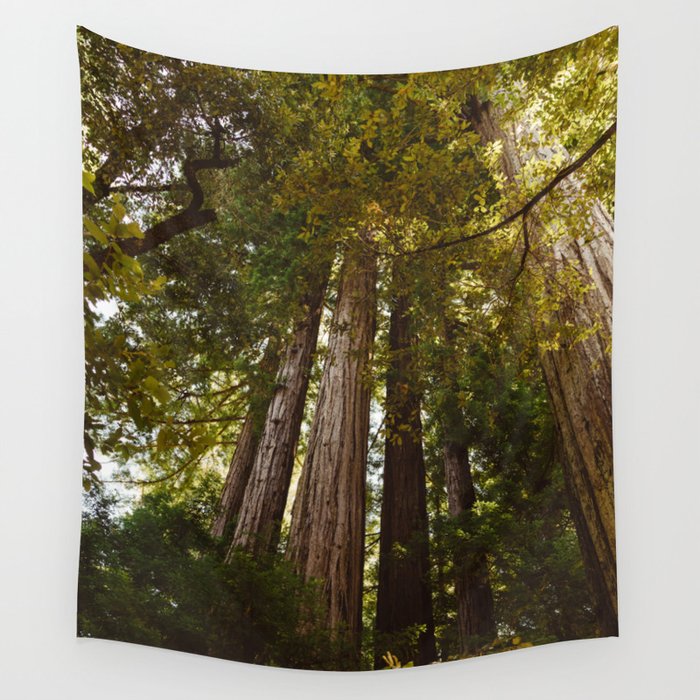 Redwood Forest II Wall Tapestry
