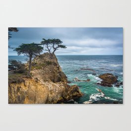The Lone Cypress 02 Canvas Print