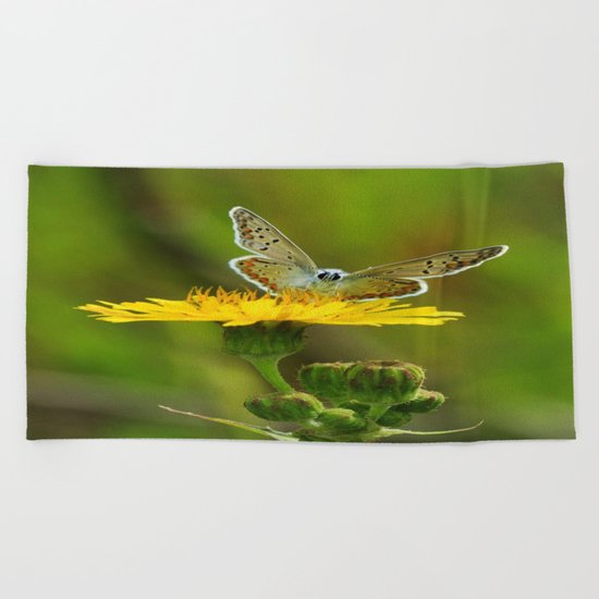 ART Beach Towel