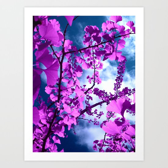 purple ginkgo tree VII Art Print