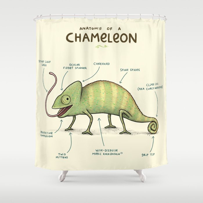 Anatomy of a Chameleon Shower Curtain