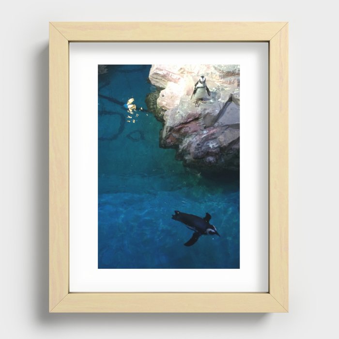 Penguin Swim Recessed Framed Print