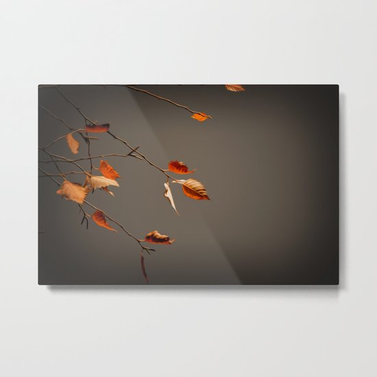 Leaves Metal Print