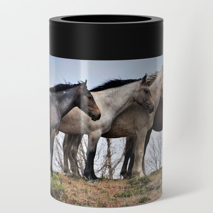 FIVE wild horses Can Cooler