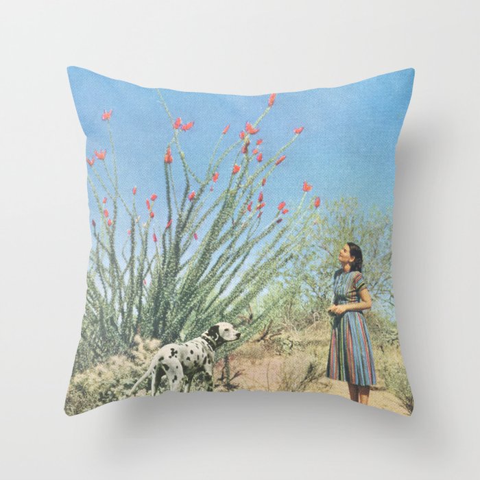 Throw Pillow