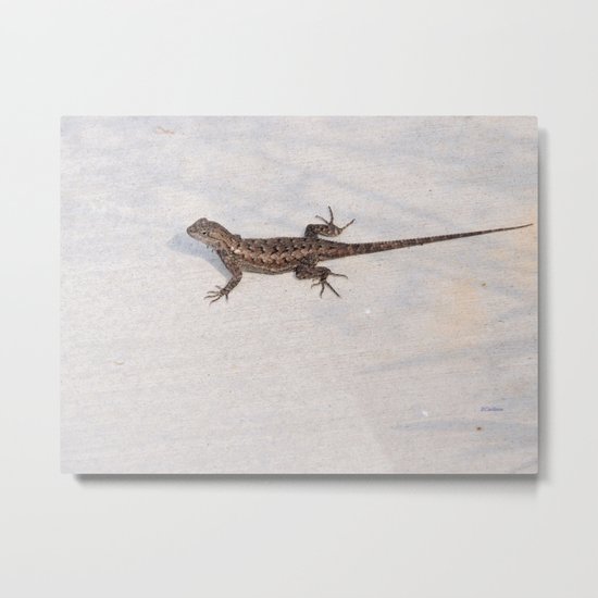 Heat-Loving Lizard Metal Print