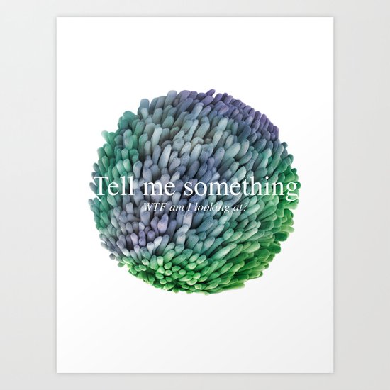 WTF am I looking at? Art Print
