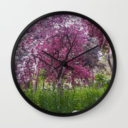 Spring garden Wall Clock | Blossom, Purple, Crown, Wood, Springtree, Trees, Flower, Bloom, Blooming, Tree 
