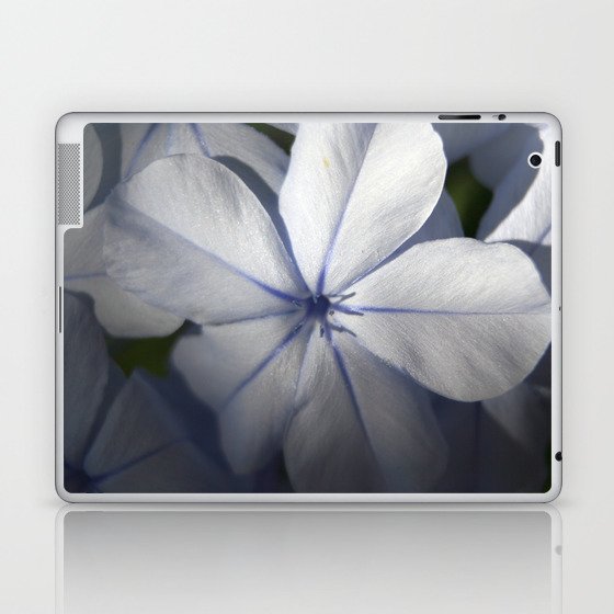 Pale Blue Plumbago Flower Close Up  Laptop & iPad Skin