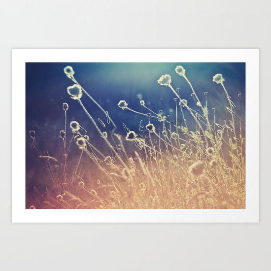 Blue and day Art Print