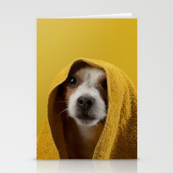 Jack Russell Terrier 8 Stationery Cards