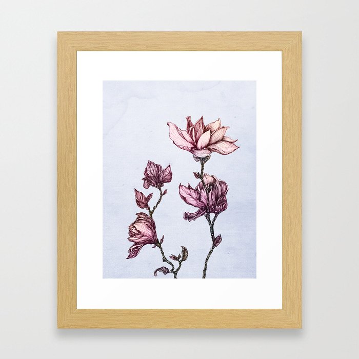 Spring Magnolias Framed Art Print