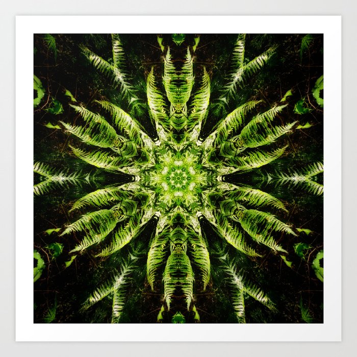 Fern Energy Mandala Art Print