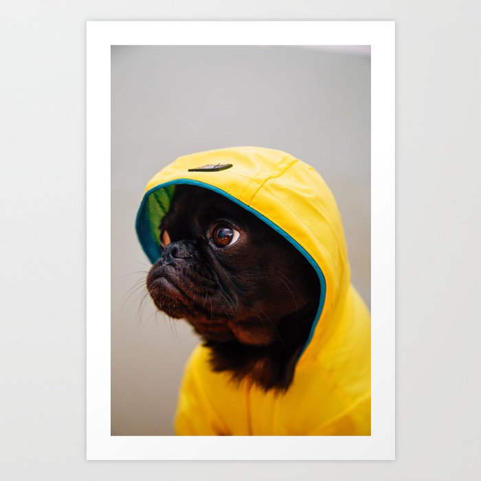Cute Pug in Raincoat Color Art Print
