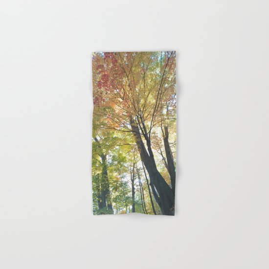 Canopy Hand & Bath Towel