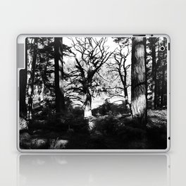 Mystery in the Woods Laptop Skin