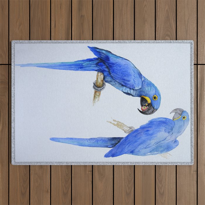 Hyacinth macaws, beautiful blue parrots Outdoor Rug