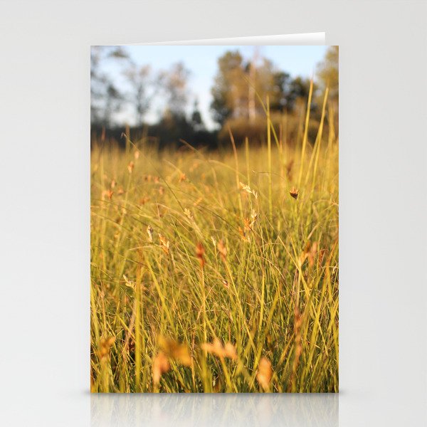 grassy field sunset Stationery Cards