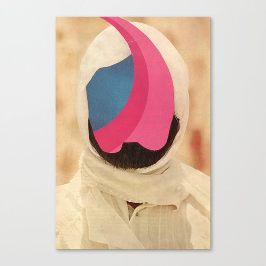 desire lines Canvas Print