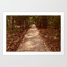 Brokenhead Trail in Fall Art Print