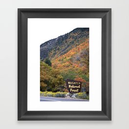 Big Cottonwood Canyon 1 Framed Art Print
