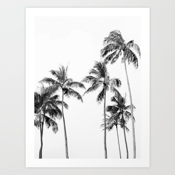 Palm Trees - Black and White Photography Art Print