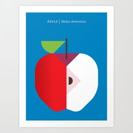 Fruit: Apple Art Print