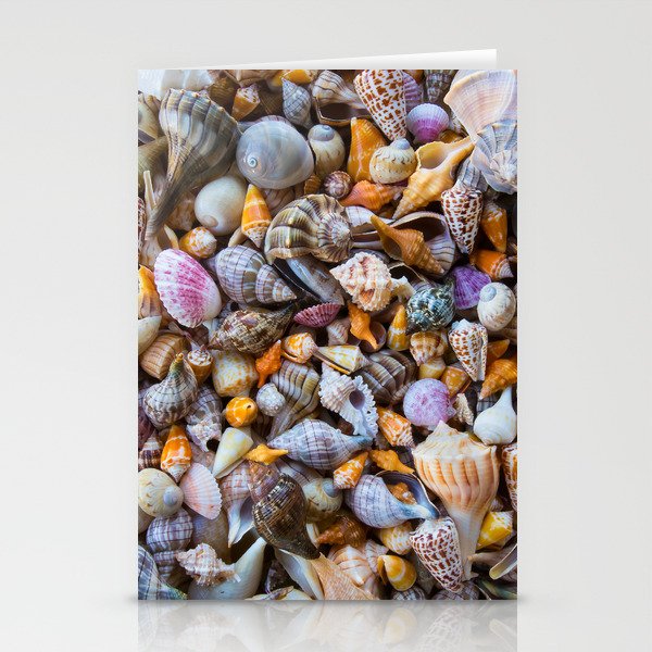 Seashell Collection Stationery Cards