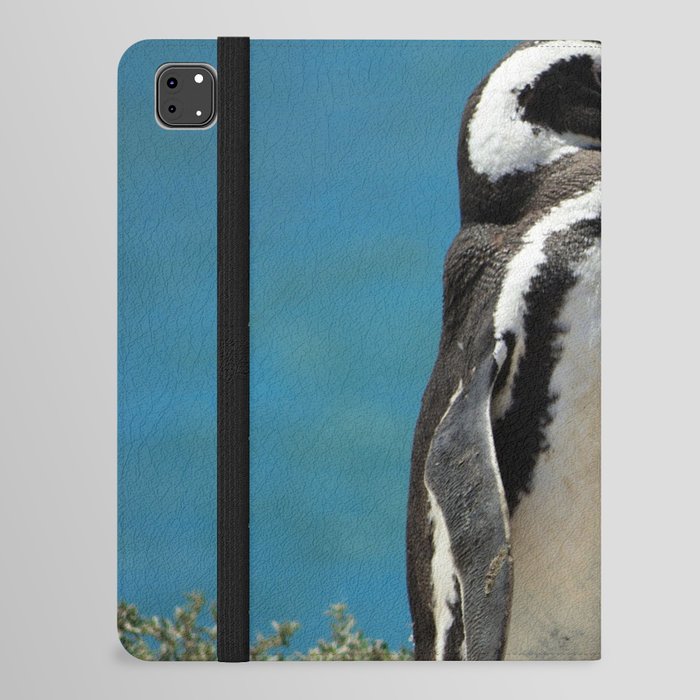 Argentina Photography - Beautiful Magellanic Penguin At The Ocean Shore iPad Folio Case