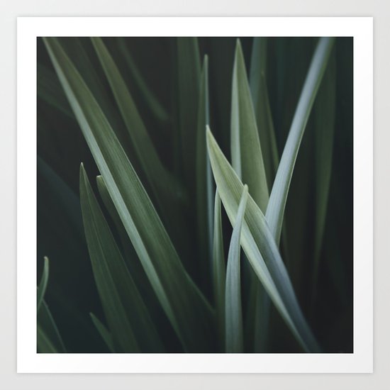 PLANT Art Print